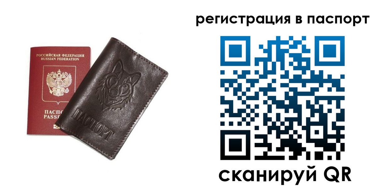 прописка в Вологде